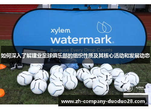 如何深入了解建业足球俱乐部的组织性质及其核心活动和发展动态