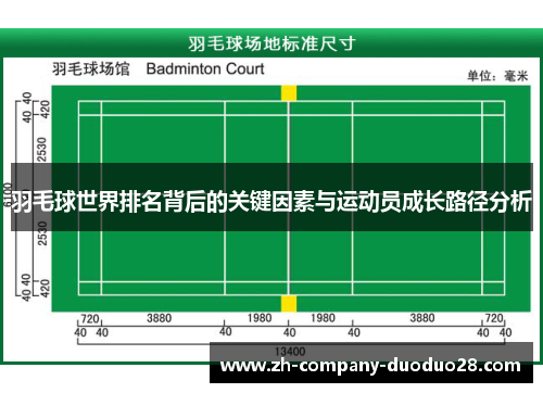 羽毛球世界排名背后的关键因素与运动员成长路径分析