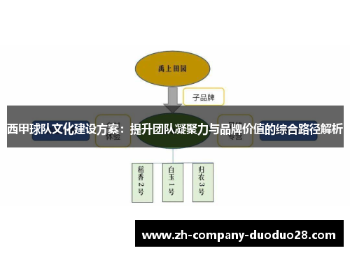 西甲球队文化建设方案:提升团队凝聚力与品牌价值的综合路径解析 西甲球队文化建设方案:提升团队凝聚力与品牌价值的综合路径解析