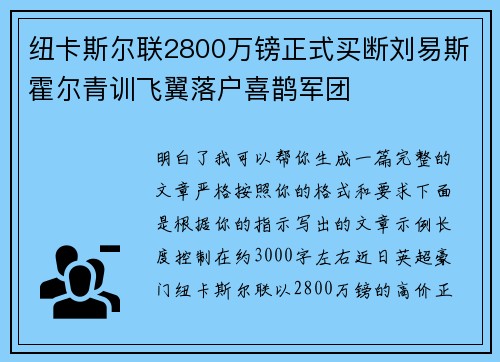 纽卡斯尔联2800万镑正式买断刘易斯霍尔青训飞翼落户喜鹊军团 纽卡斯尔联2800万镑正式买断刘易斯霍尔青训飞翼落户喜鹊军团